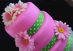 pink gerber cake 2